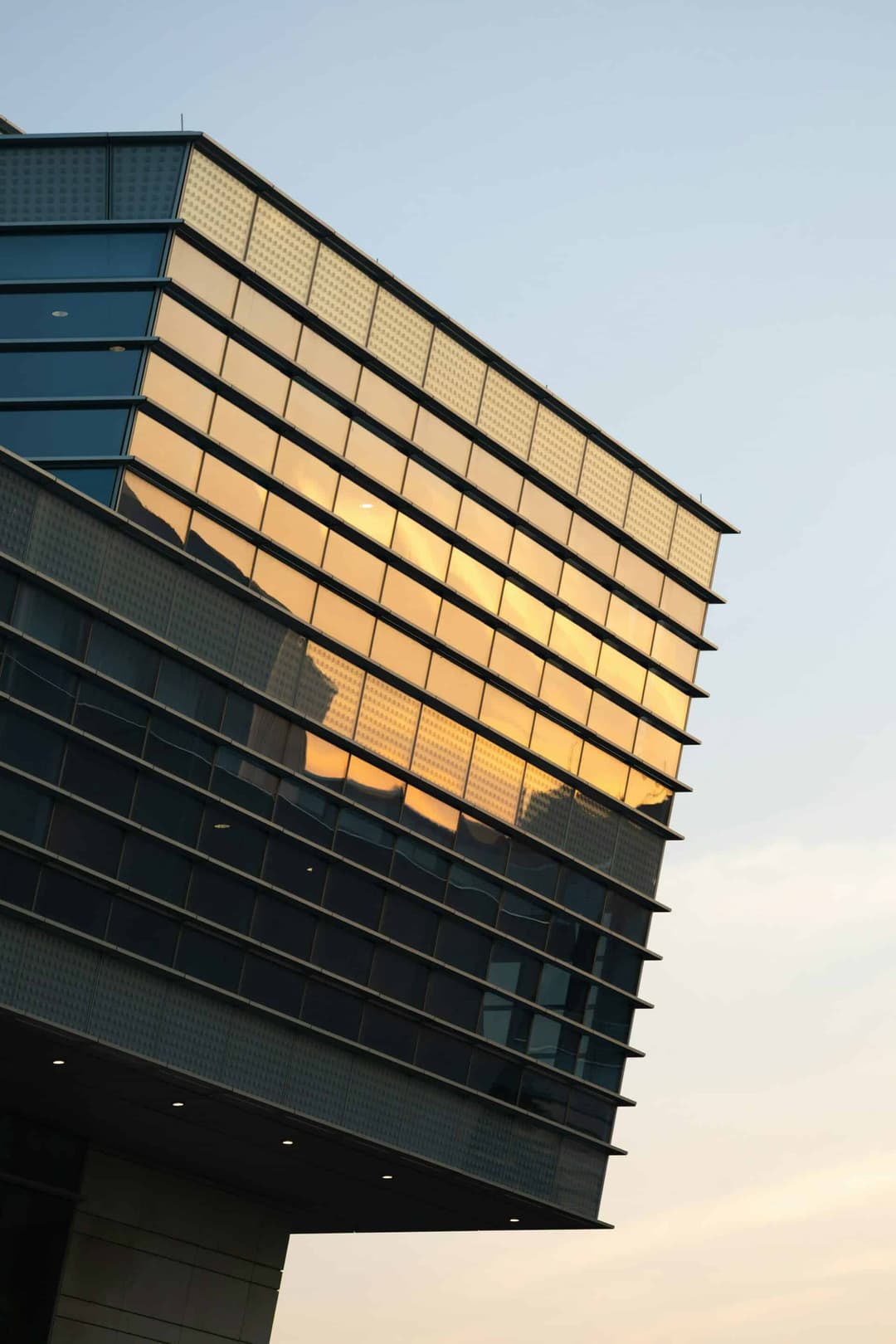 Buyout of the rights of the non-approved heir of an SAS shareholder: a limitation period running from the filing of the expert report, and a valuation as at the date of death
