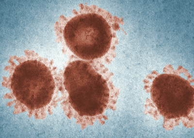 L’impact du coronavirus sur les contrats