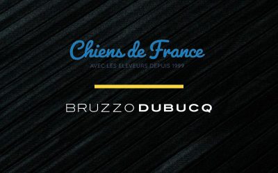 Bruzzo Dubucq accompagne ATARA dans le cadre de la cession du groupe