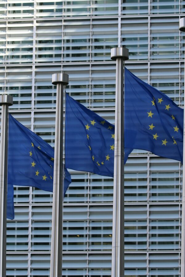 Le Tribunal de l’UE donne au DSA son brevet de constitutionnalité