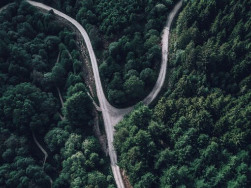 L’instruction conventionnelle, une nouvelle arme pour le juge ?