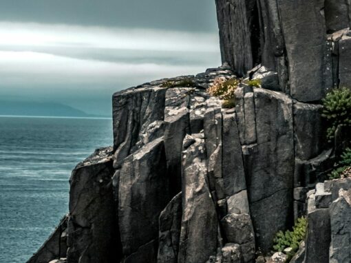 L’abus de droit du créancier d’une sûreté réelle